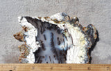 Australian Dendritic Opal Rock Slab 45