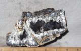 Australian Dendritic Opal Rock Slab 44