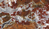 Bargain Bin E Slab 286