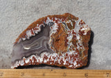 Bargain Bin E Slab 286