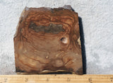 Biggs Jasper Rock Slab 465