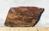 Biggs Jasper Rock Slab 473