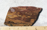 Biggs Jasper Rock Slab 473
