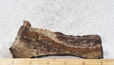 Biggs Jasper Rock Slab 472