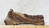 Biggs Jasper Rock Slab 472