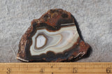 Botswana Agate Slab 57