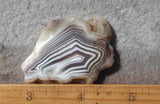 Botswana Agate Slab 76