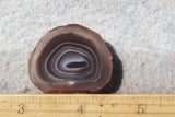 Botswana Agate Slab 56