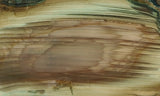 Blue Mountain Jasper Rock slab 44