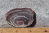 Botswana Agate Slab 54