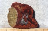 Brenda Jasper Rock Slab 174