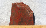 Crater Lake Plume Jasper 99