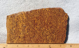 Curiosity Shop Rock Slab 437