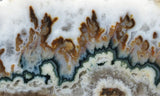 Forest Green Plume Agate Slab 93
