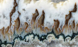 Forest Green Plume Agate Slab 93