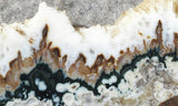 Forest Green Plume Agate Slab 94