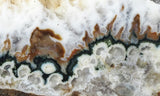 Forest Green Plume Agate Slab 94