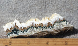 Forest Green Plume Agate Slab 94