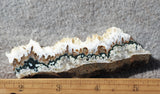 Forest Green Plume Agate Slab 94