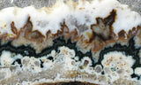 Forest Green Plume Agate Slab 95
