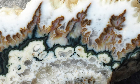 Forest Green Plume Agate Slab 98