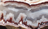 Forest Fire Plume Agate Rock Slab 43