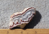 Forest Fire Plume Agate Rock Slab 43