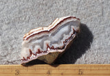 Forest Fire Plume Agate Rock Slab 43