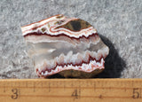 Forest Fire Plume Agate Rock Slab 50