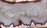 Forest Fire Plume Agate Rock Slab 42