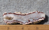 Forest Fire Plume Agate Rock Slab 42