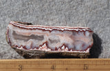 Forest Fire Plume Agate Rock Slab 41