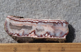 Forest Fire Plume Agate Rock Slab 41