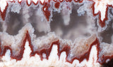 Forest Fire Plume Agate Rock Slab 48
