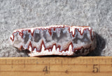 Forest Fire Plume Agate Rock Slab 48