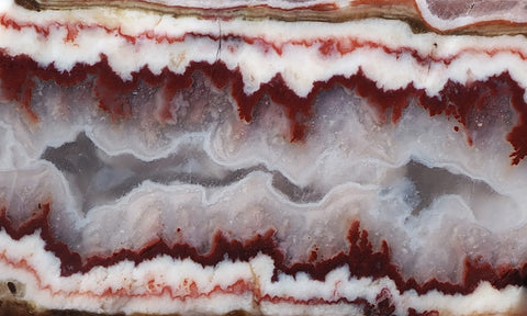 Forest Fire Plume Agate Rock Slab 49