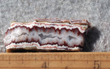 Forest Fire Plume Agate Rock Slab 49