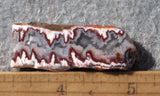 Forest Fire Plume Agate Rock Slab 46