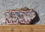 Forest Fire Plume Agate Rock Slab 45