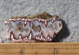 Forest Fire Plume Agate Rock Slab 45