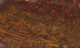 Dinosaur Bone Rock Slab 496