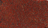 Dinosaur Bone Rock Slab 489