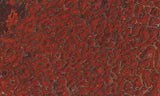Dinosaur Bone Rock Slab 483