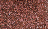 Dinosaur Bone Rock Slab 476