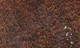 Dinosaur Bone Rock Slab 494