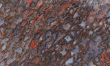 Dinosaur Bone Rock Slab 479