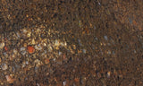Dinosaur Bone Rock Slab 492