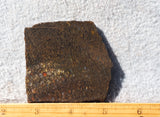 Dinosaur Bone Rock Slab 492