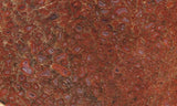 Dinosaur Bone Rock Slab 484