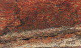 Dinosaur Bone Rock Slab 477